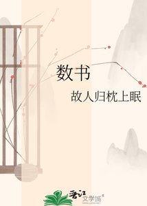 数书